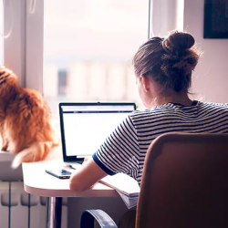 Marketing and Creative