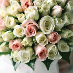 Weddings and Occasions