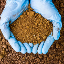 Now Offering Soil Testing