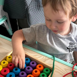 Cognitive Development