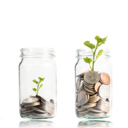 Personal Savings
