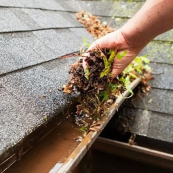 Gutter Cleaning