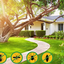 Residential Pest Control