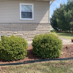 Free Estimate