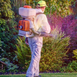 Pest Management
