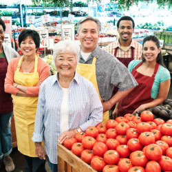 Marketplace Plan Insurance