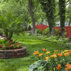 Tree & Shrub Program
