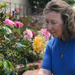 Arthritis Care For Seniors