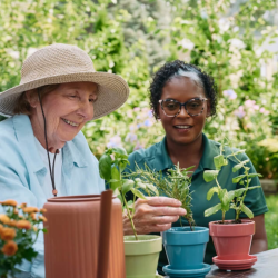 Diabetes Home Care for Seniors