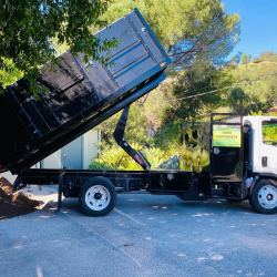 Dumping
