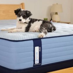 Mattresses