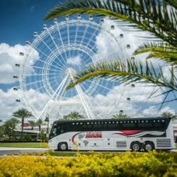 Local Sightseeing Tours