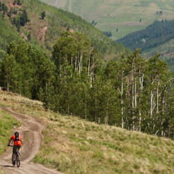 Hike and Bike