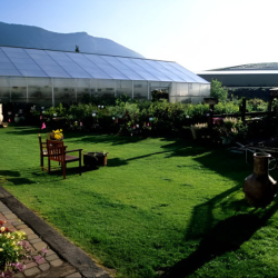 Garden Center