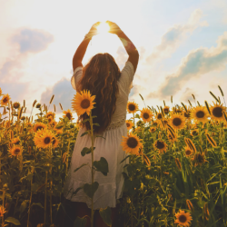 Professional Photographer Pass