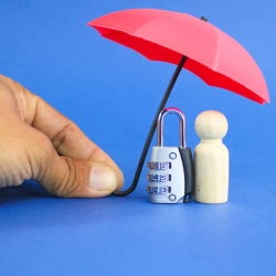 Theft Insurance