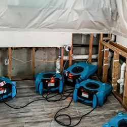 Specialty Restoration Services