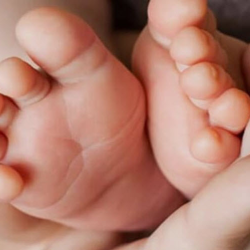 Maternal & New Parent Mental Health