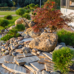 Landscaping