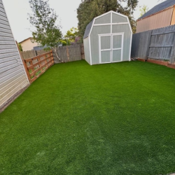 Pet & Dog Turf