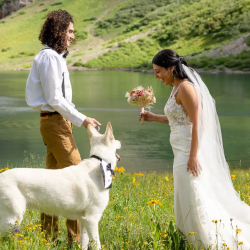 Elopements