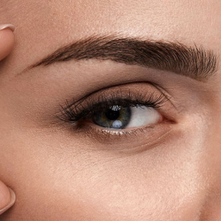 Contact Lenses