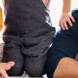 Homeowners Insurance