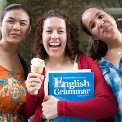 Intensive English Program (IEP)