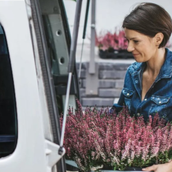 Commercial Umbrella Insurance