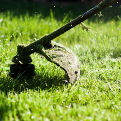 Property Maintenance