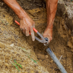 Irrigation Services