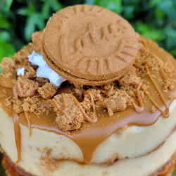 Cookie Butter Cheesecake
