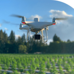 Precision Agriculture