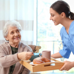 Meal Preparation and Grocery Shopping