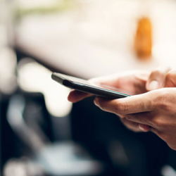 Free Pest Control Inspection