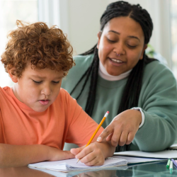 Home Study / Post Release Services