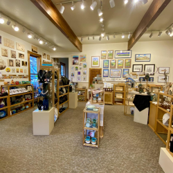 Art Gallery