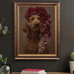 Fine Art Pet Portrait Sessions