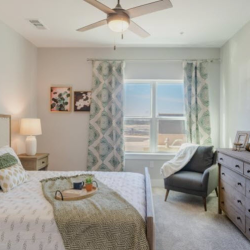 Your Apartment Amenities