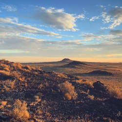 Efficient Order Fulfillment and Distribution Services