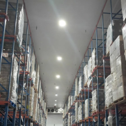 Frozen Storage