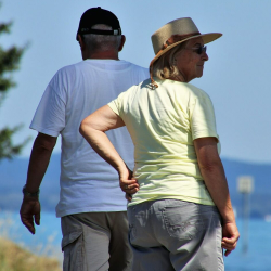 Senior Companion Program
