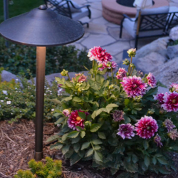 Free Design and Estimate