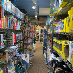 Toys, Toys, TOYS!