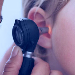 Ear, Nose and Throat