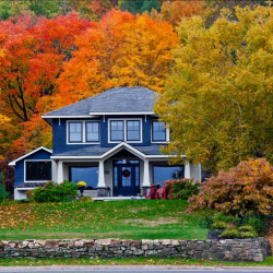 Home Loans