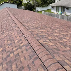 Traditional Asphalt Shingles