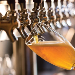 Guest Beers