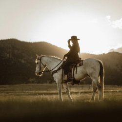 Trust Administration & Probate