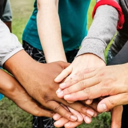 Volunteer Opportunities